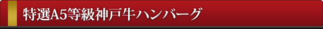 神戸牛ハンバーグ