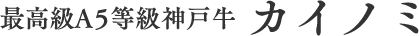 カイノミ