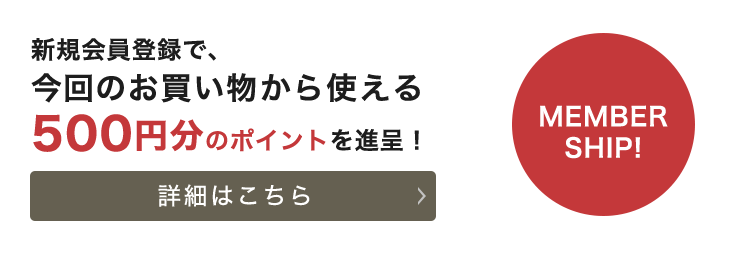 新規会員登録で500円分のポイント