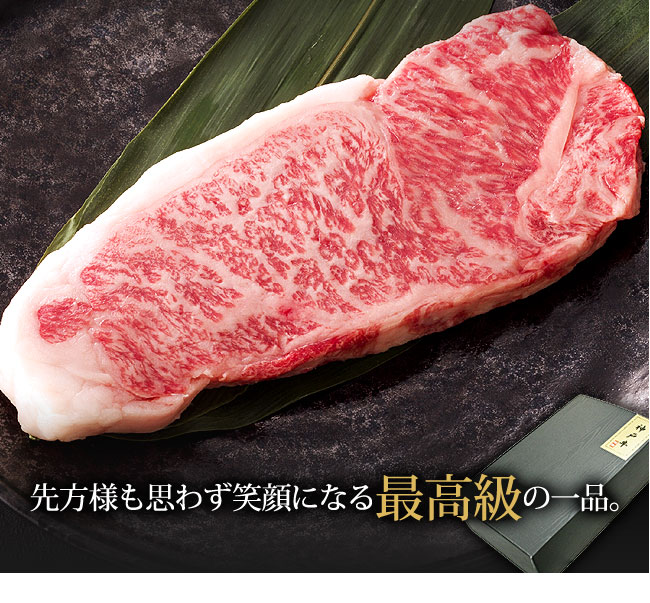 ͤפ鷺дˤʤǹΰ