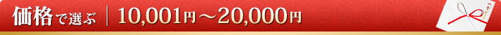 価格で選ぶ 10,001〜20,000円