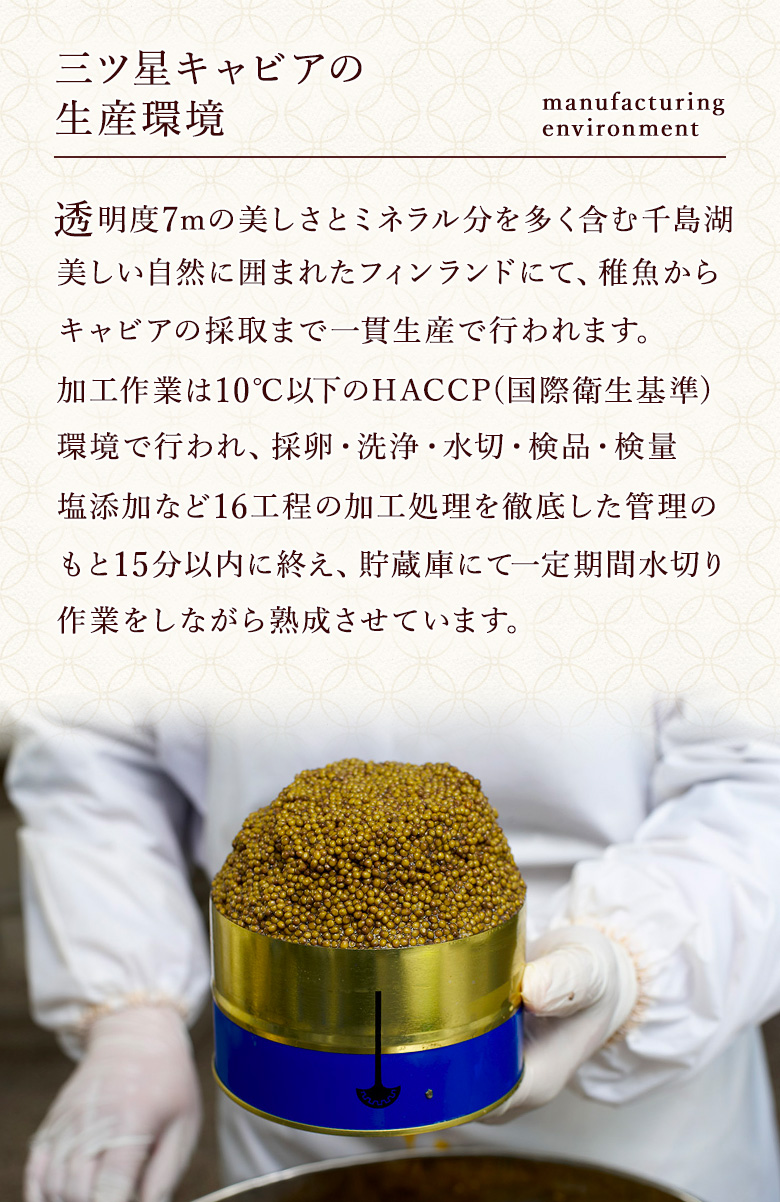 キャビア共通画像