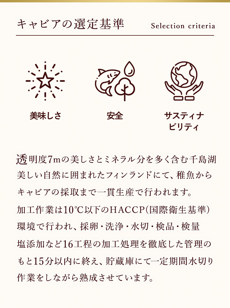 キャビア共通画像