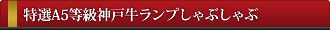 神戸牛リブロースステーキ