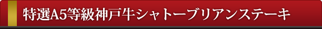 神戸牛シャトーブリアンステーキ