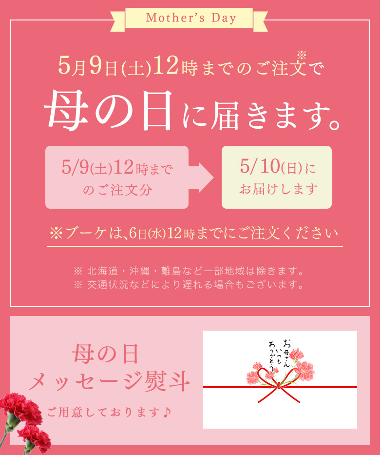 母の日限定