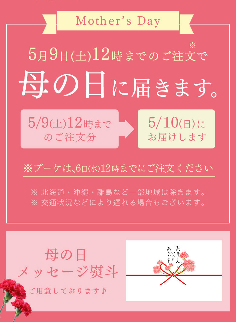 母の日の贈り物