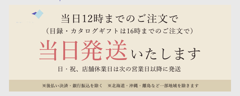 当日12時までのご注文で当日発送いたします